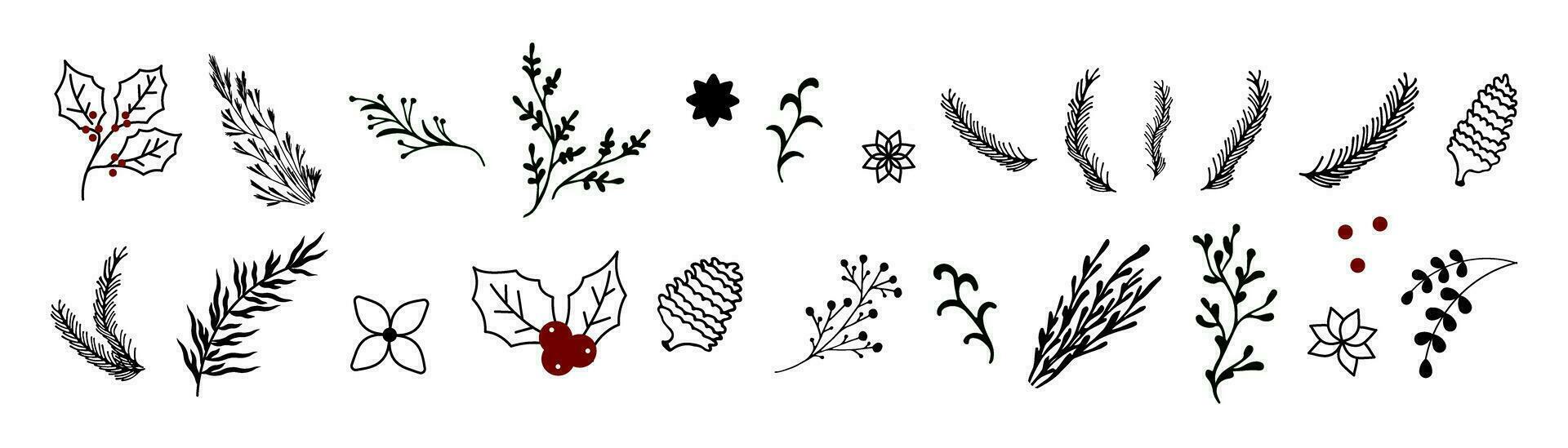 hand- trek Kerstmis fabriek ornamenten blad, bloem, takken set. tekening hulst bloemen zwart en wit vector