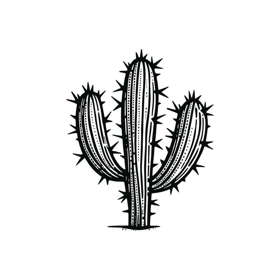 vector hand- getrokken cactus tekening Mexicaans nopal vector illustratie geïsoleerd Aan wit achtergrond