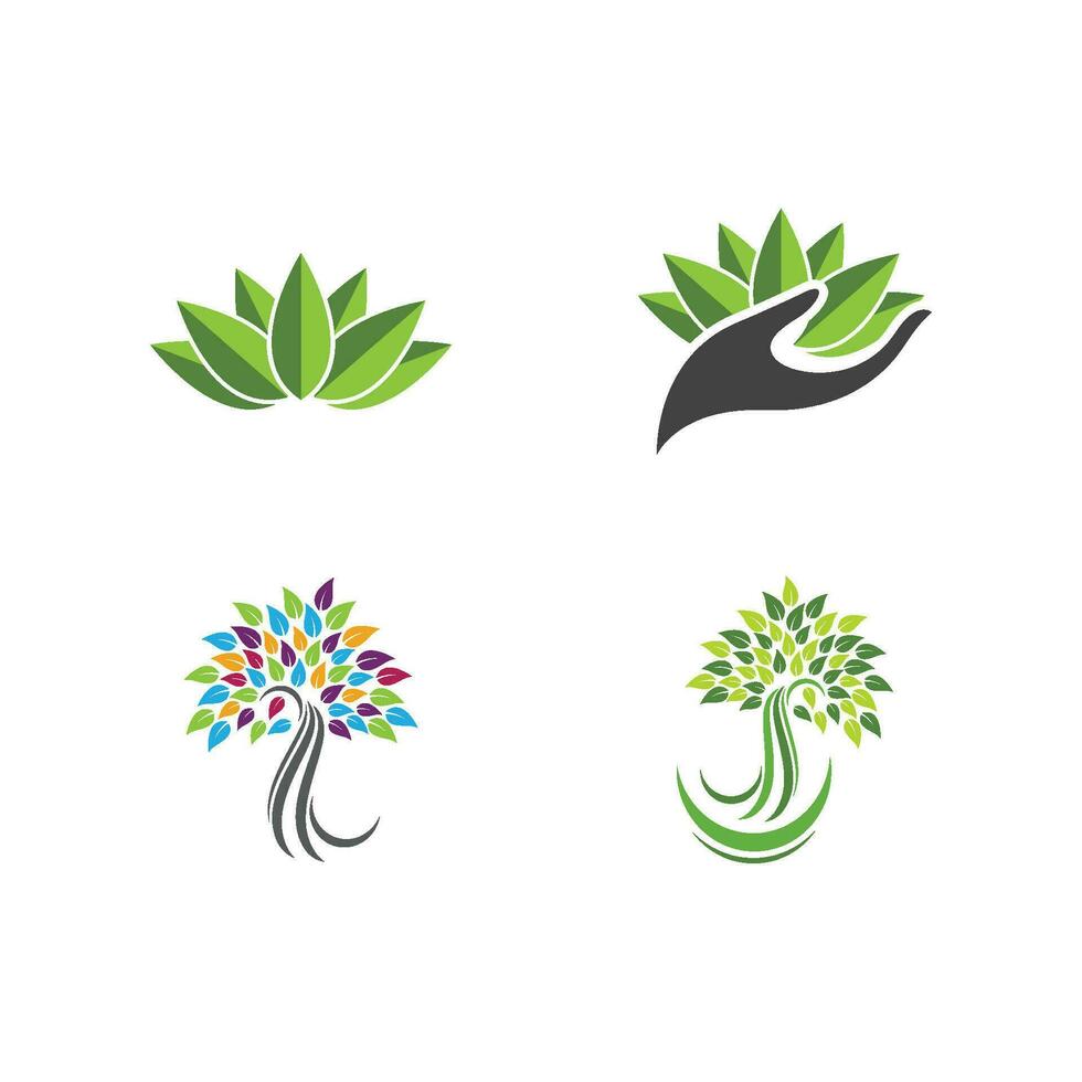 logo's van groene boom blad ecologie vector