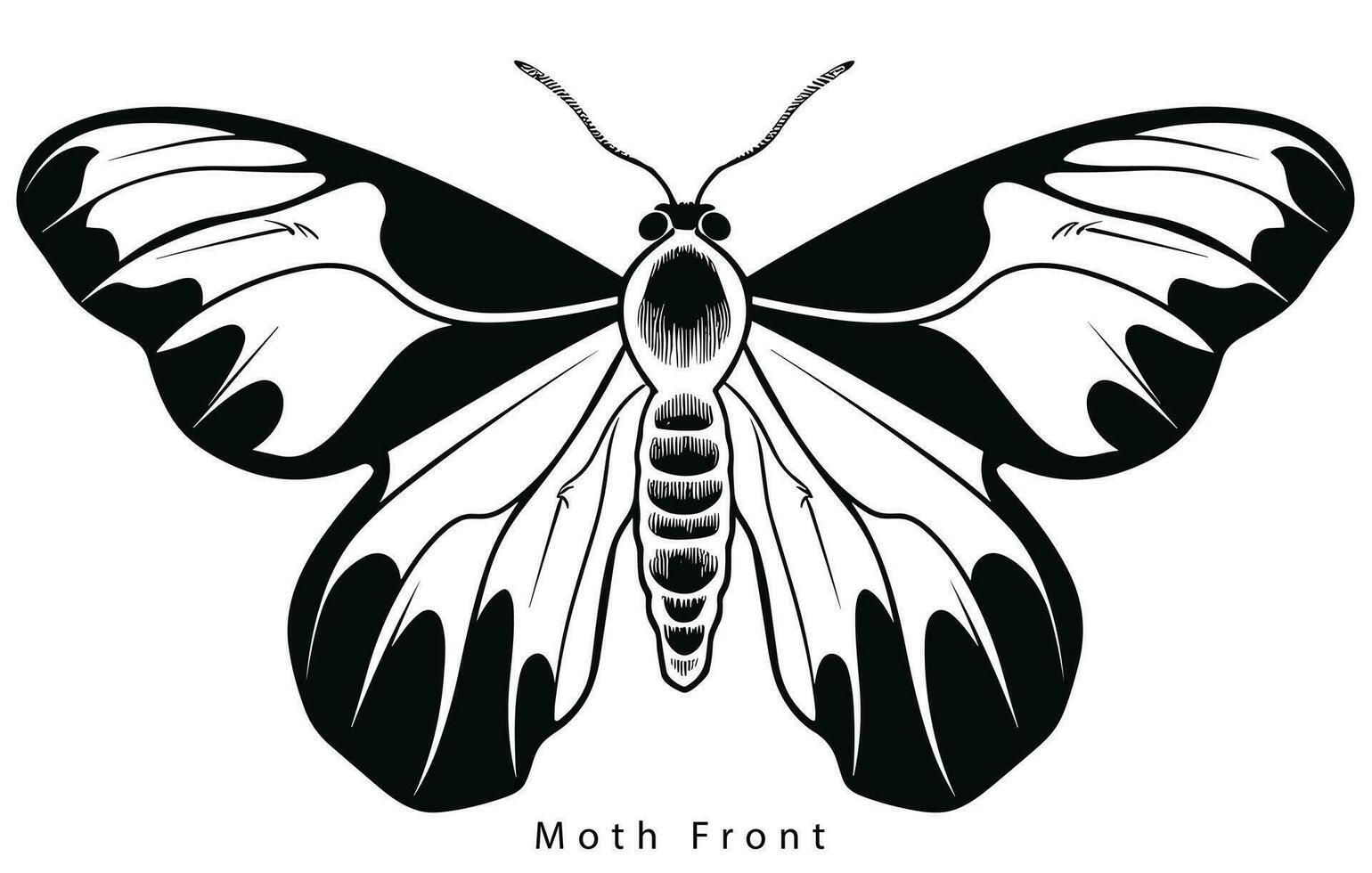 monarch vlinder silhouet. vector illustratie