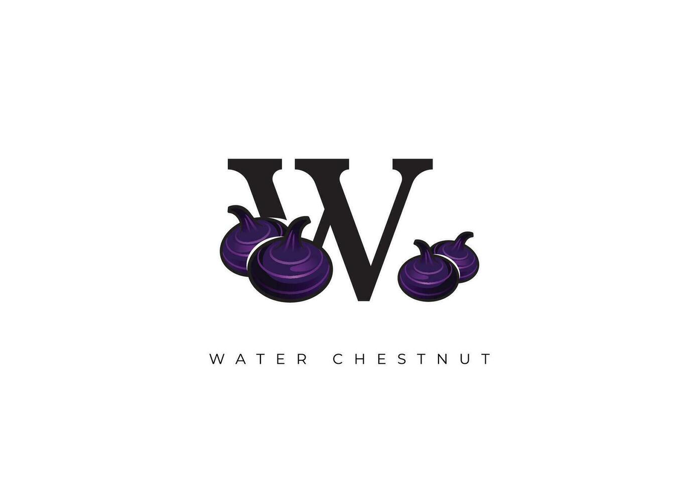 zwart water kastanje fruit vector, Super goed combinatie van water kastanje fruit symbool met brief w vector