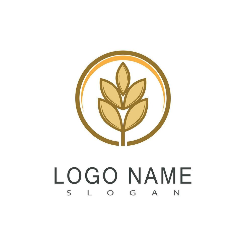 landbouw tarwe logo vector sjabloon symbool ontwerp