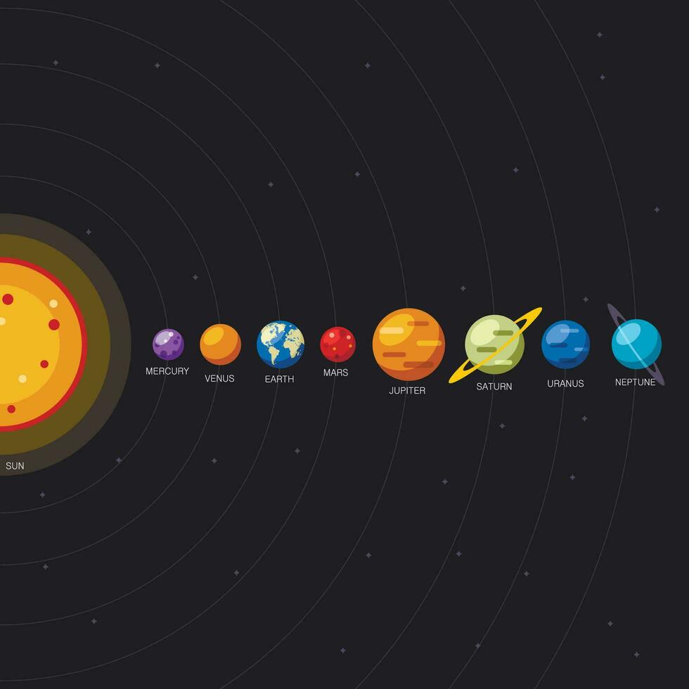 zonne- systeem en planeten plaats Aan zwart achtergrond, zon en planetair banen in vlak stijl. leerzaam heelal regeling met planeten namen. vector