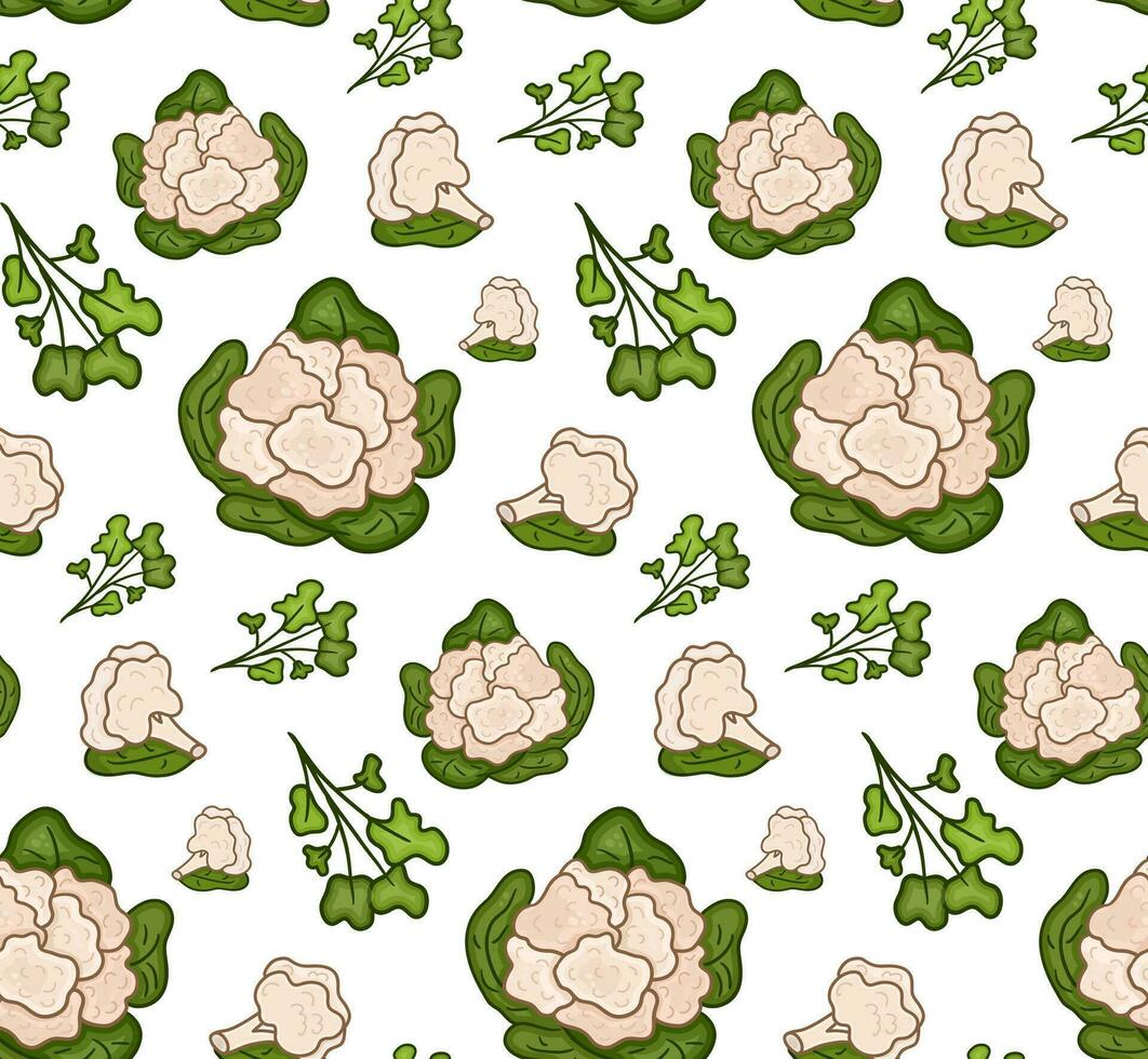 naadloos patroon bloemkool vector illustratie. ontwerp voor boerenkool dag, gezond voedsel dag, recepten.