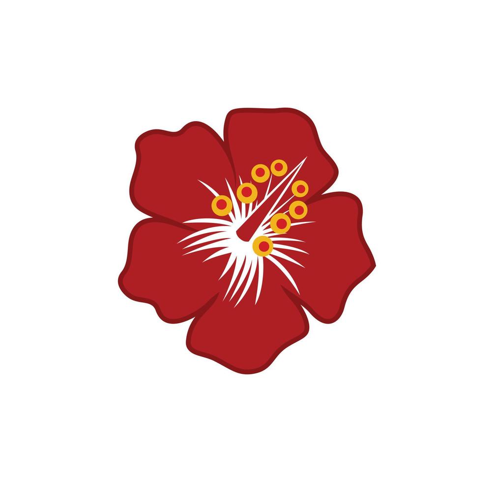 hibiscus bloem ontwerp illustratie vector