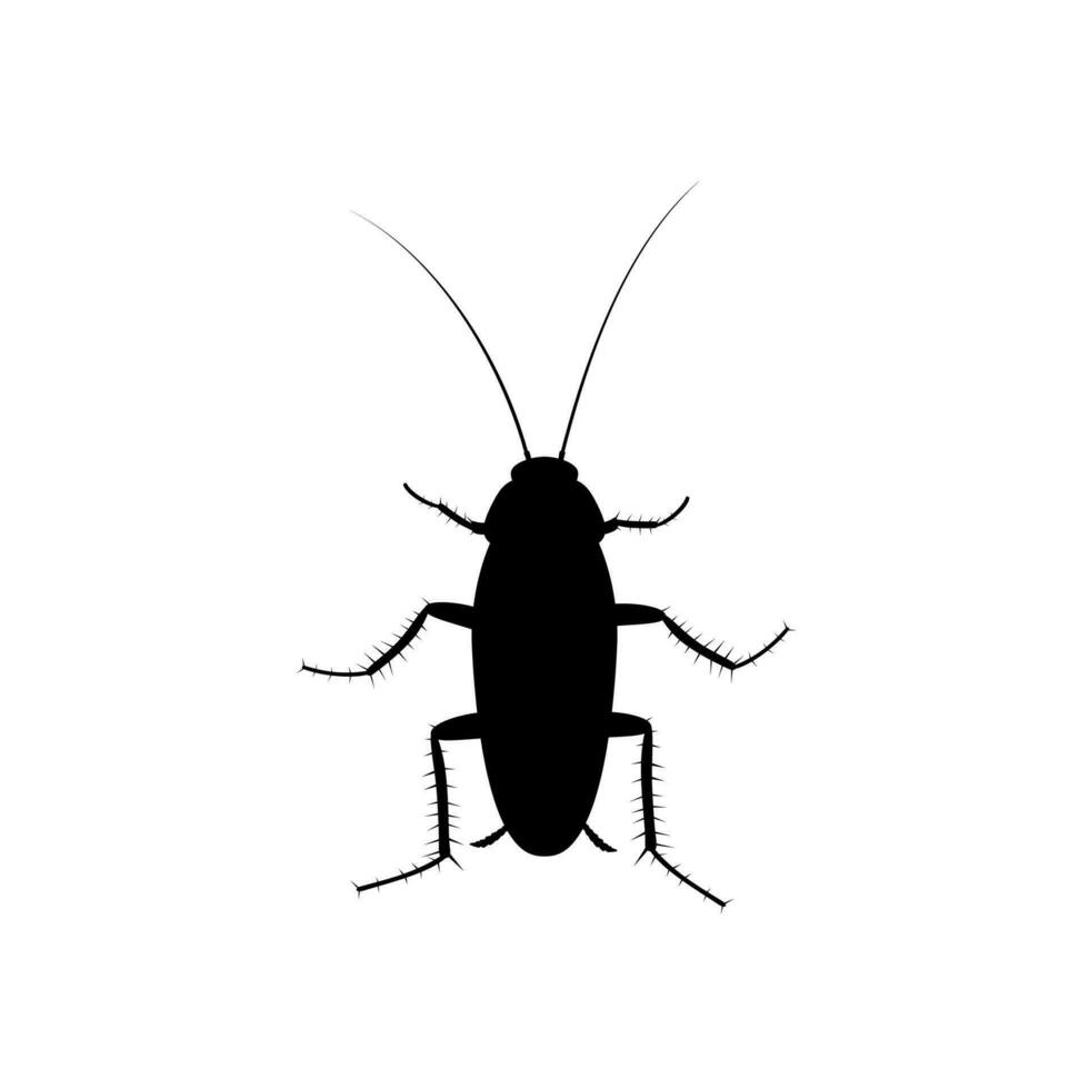 kakkerlak insect icoon geïsoleerd Aan wit achtergrond, plaag kever silhouet top visie. vlak lichaam parasiet vervuiling, kakkerlakken vector illustratie.