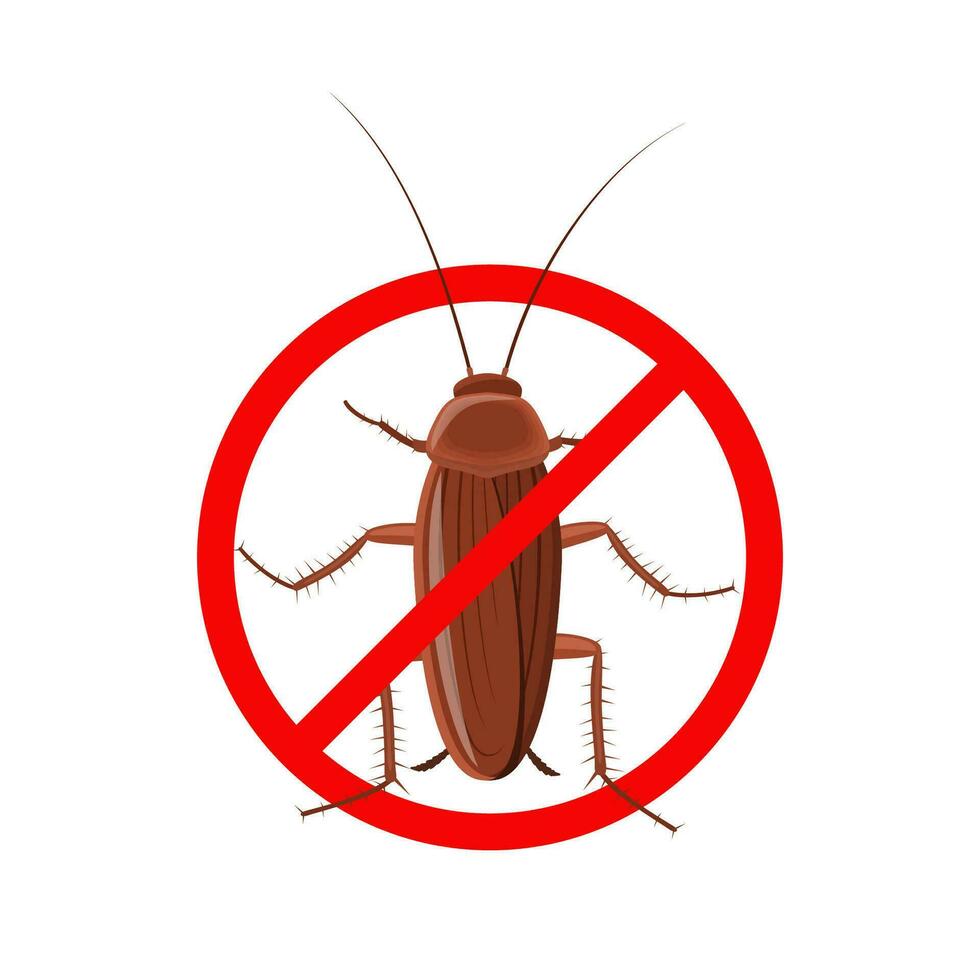 kakkerlak insect in een rood verbiedend cirkel geïsoleerd Aan wit achtergrond, plaag kever icoon top visie. de hou op kakkerlak icoon is verbiedend teken. Nee ongedierte. vlak lichaam parasiet vervuiling, kakkerlakken vector. vector