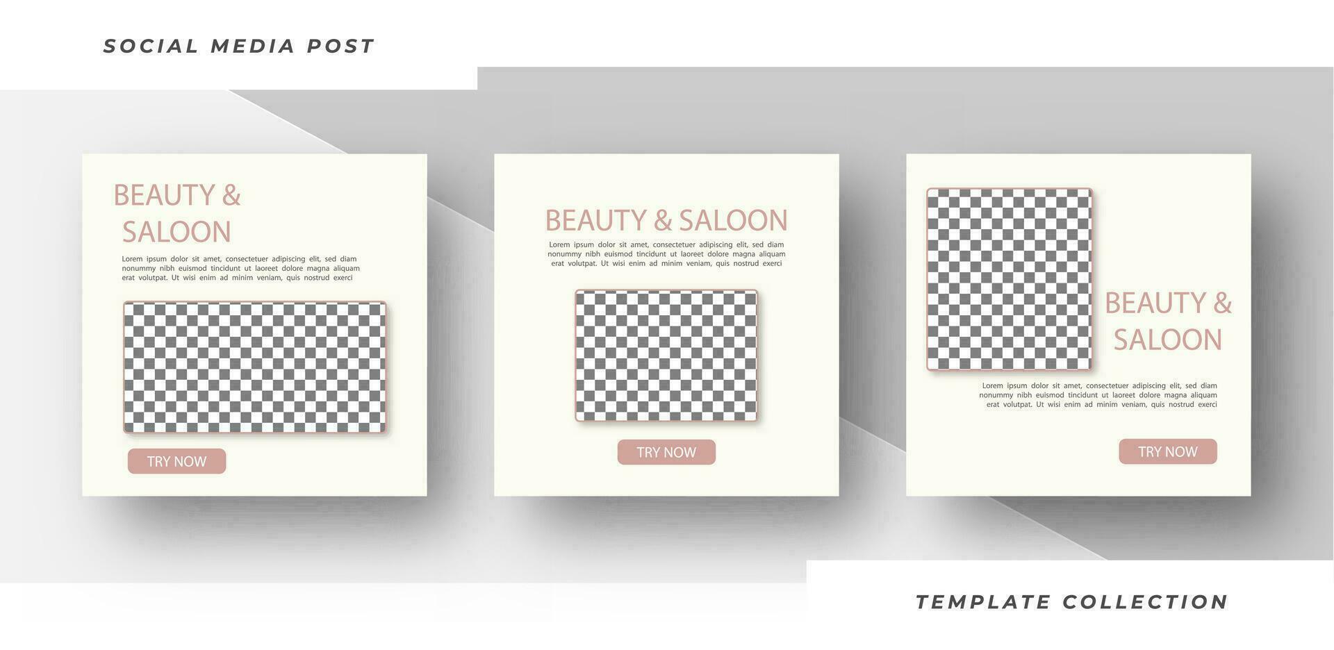 schoonheid en salon huidsverzorging bedenken spa plein banier verzameling plein folder sjabloon ontwerp. pro vector