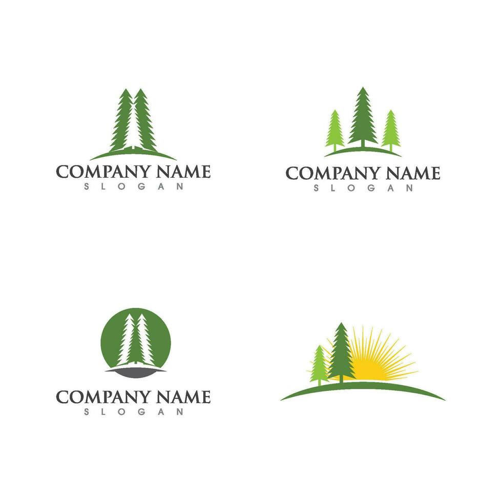 ceder boom logo sjabloon vector