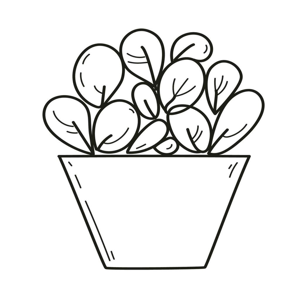 huis planten tekening geïsoleerd Aan wit achtergrond. hand- getrokken tekening schets vector illustratie