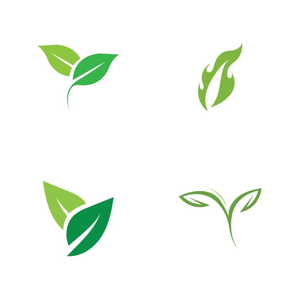 logo's van groen blad ecologie natuur element vector