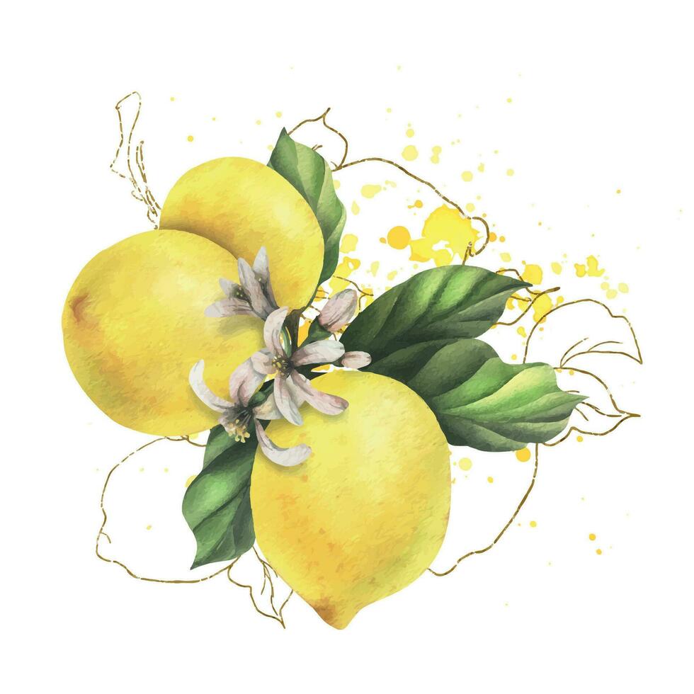 citroenen zijn geel, sappig, rijp met groen bladeren, bloem bloemknoppen Aan de takken, geheel en plakjes. waterverf, hand- getrokken botanisch illustratie. geïsoleerd voorwerp Aan een wit achtergrond. vector eps