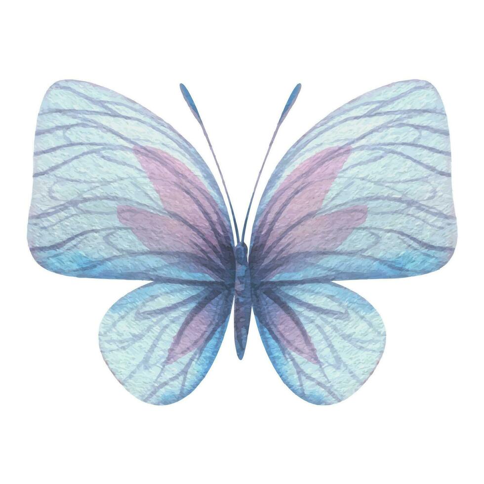 vlinder zijn roze, blauw, lila, vliegen, delicaat met Vleugels. hand- getrokken waterverf illustratie. geïsoleerd element Aan een wit achtergrond, voor ontwerp. vector eps