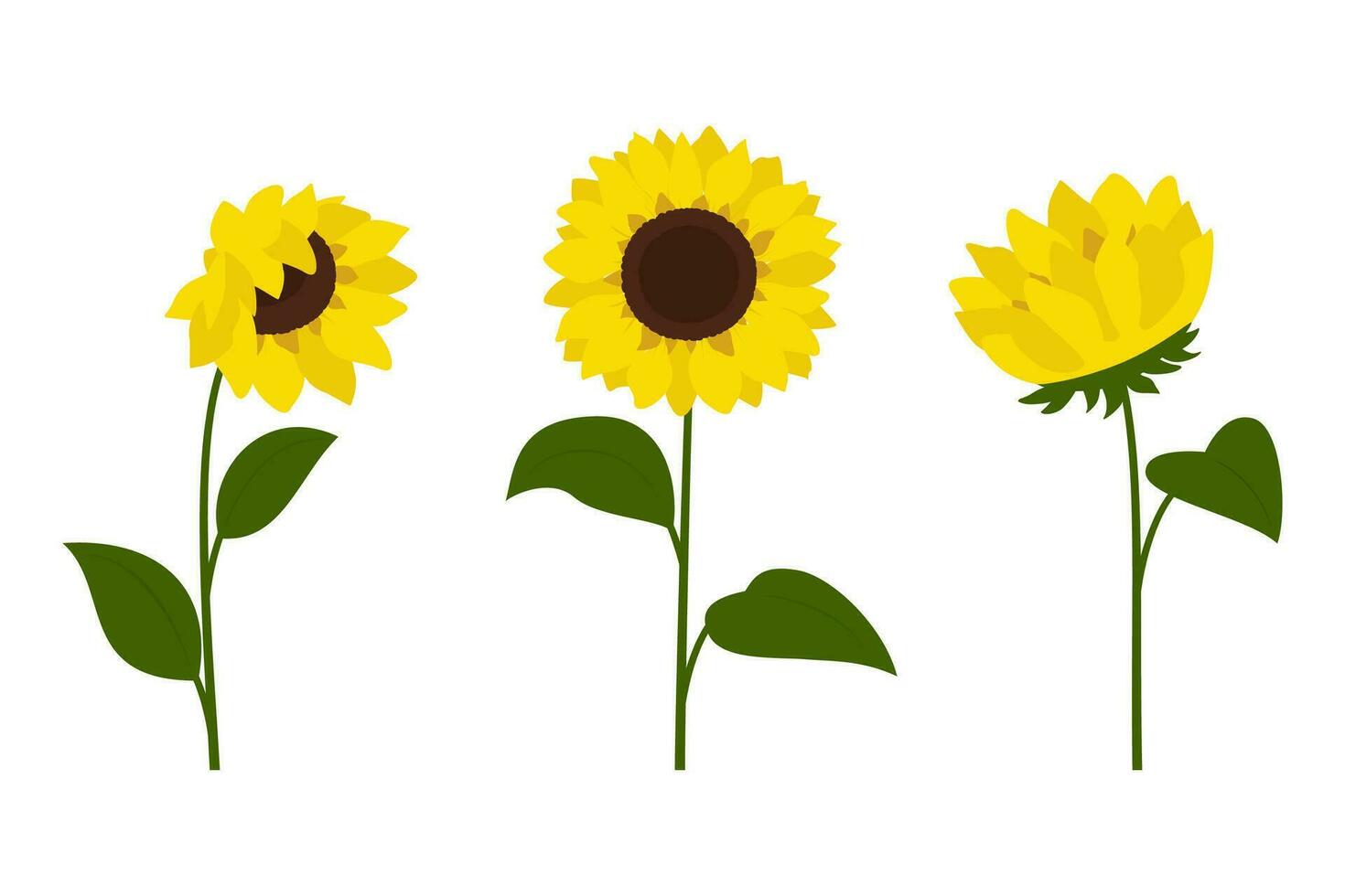 klem kunst zonnebloemen, vector. zonnebloemen geïsoleerd Aan wit achtergrond vector