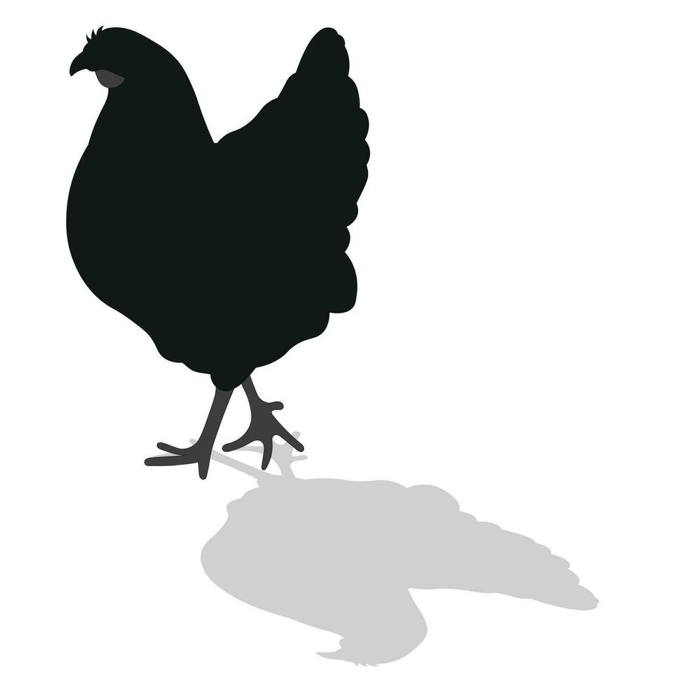haan, kip, kip, kuiken, positie staan, gevogelte silhouet hand- getrokken vector