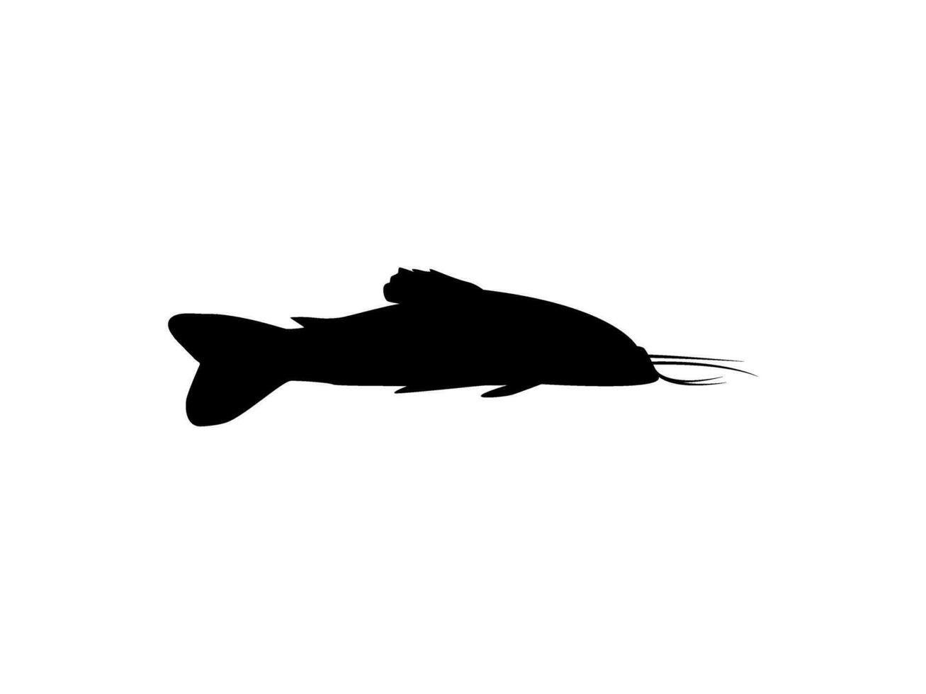 silhouet van de de kwi kwi of hoplosternum litorale is een soorten van gepantserd meerval van de callichthyidae familie. vector illustratie