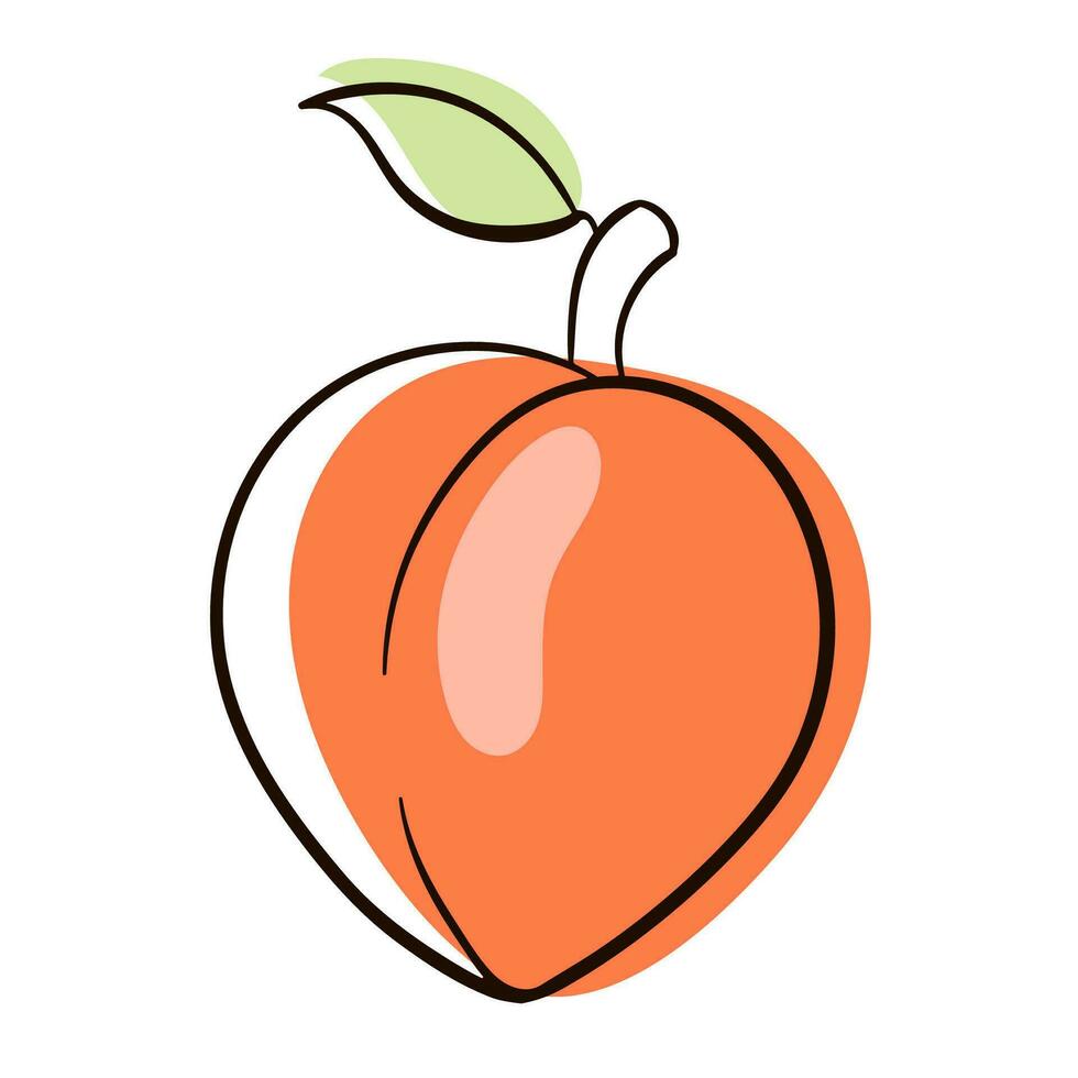 perzik fruit lijn kunst, tekenfilm voor voedsel apps en websites. vector