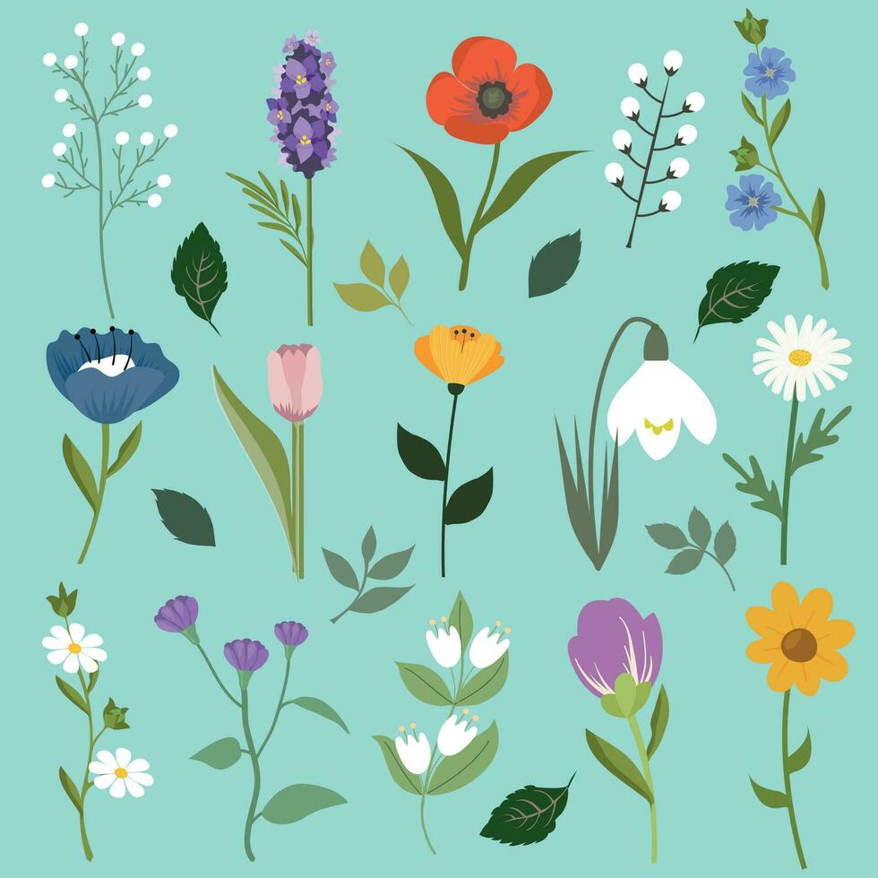 reeks van bloemen elementen. besnoeiing tuin en veld- bloeit, bloeide voorjaar zomer planten arrangementen. natuur decoratie. vlak grafisch vector illustratie geïsoleerd