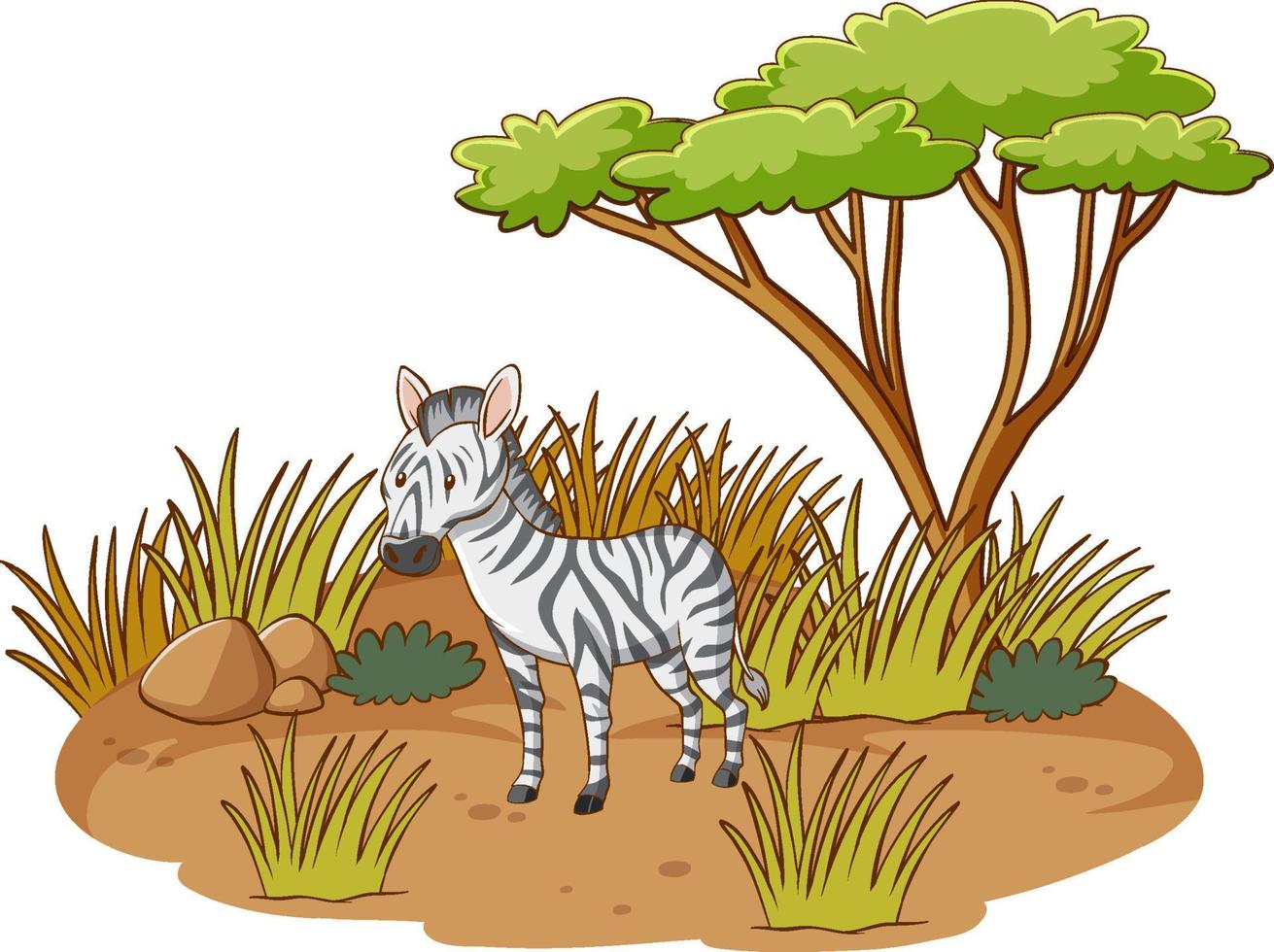 zebra in savannebos op witte achtergrond vector