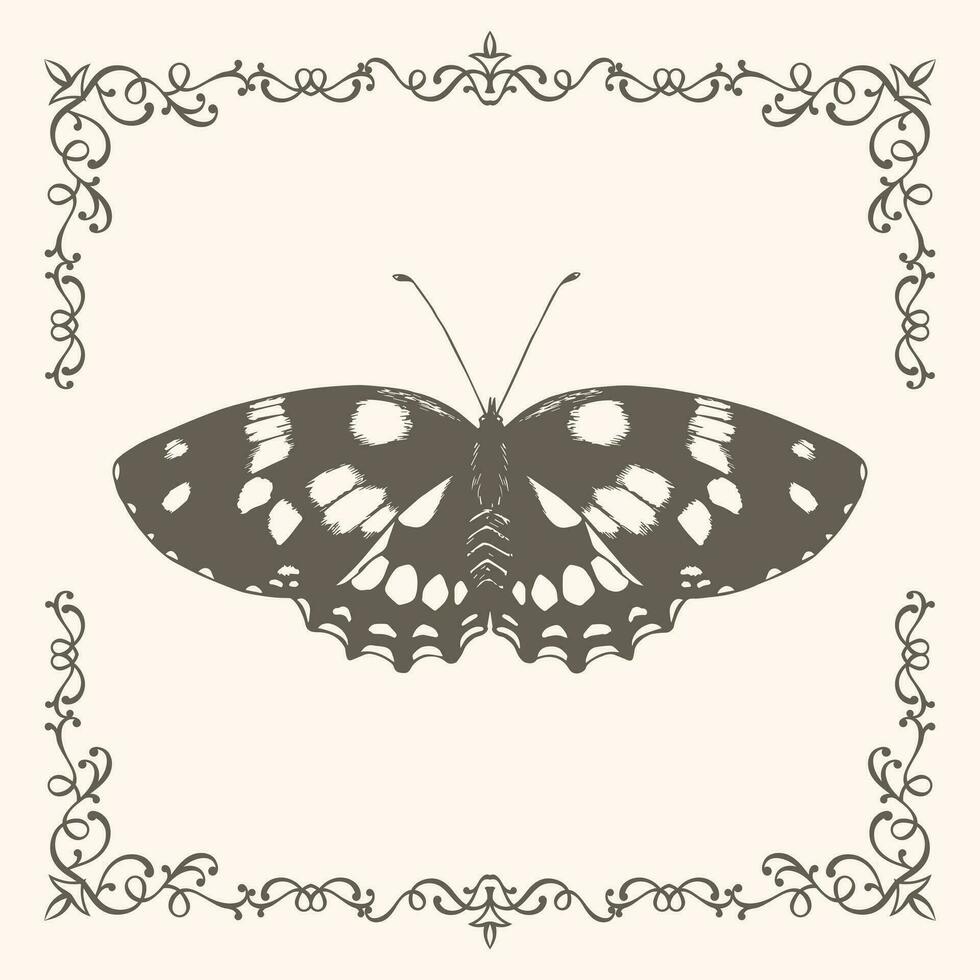 wijnoogst vlinder tekening met kader vector
