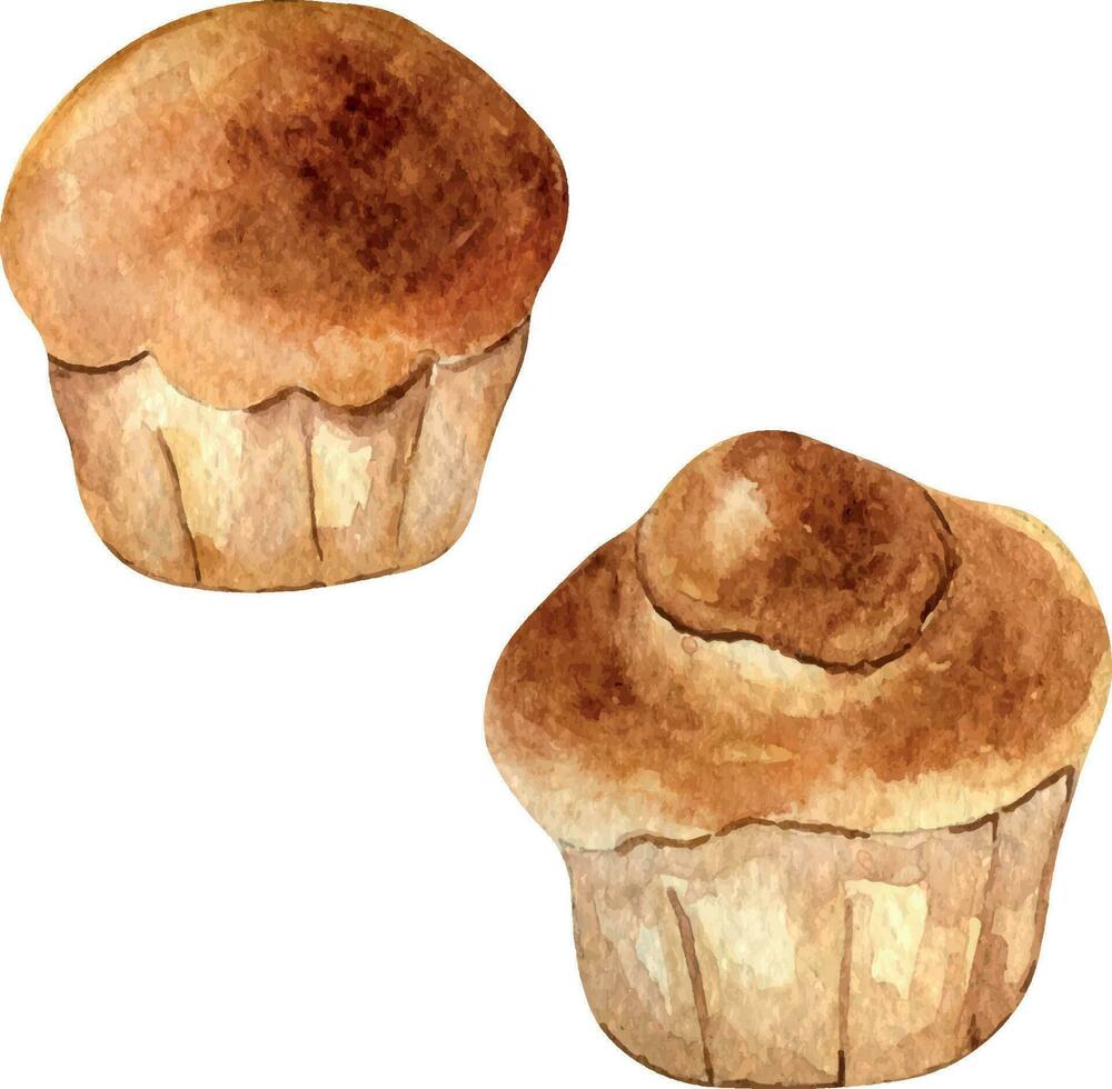 vers geheel brioche broodjes waterverf illustratie geïsoleerd Aan wit achtergrond. hand- getrokken Frans brood voor bakkerij. geschilderd brioche. element voor ontwerp bewegwijzering, kookboek, omhulsel papier, verpakking vector