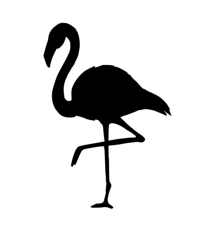 vector zwart flamingo silhouet