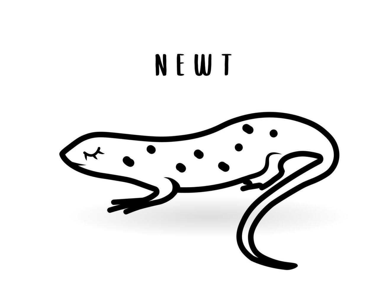 tekenfilm newt dier geïsoleerd Aan wit. schattig karakter watersalamander, vector dierentuin, dieren in het wild poster.