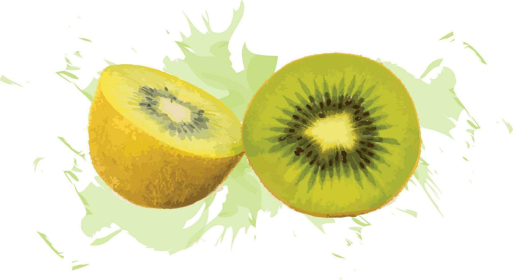 abstract van kiwi fruit met kleur bespat Aan wit achtergrond. vector