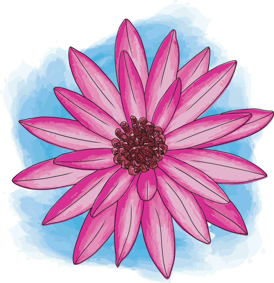 abstract van roze water lelie bloem met kleur verf Aan wit achtergrondgeluid. vector