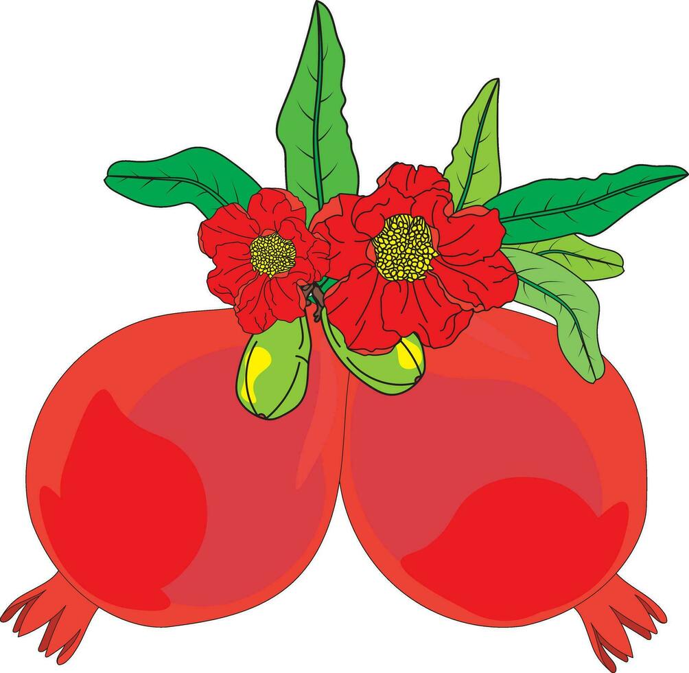 abstract van granaatappel , punica appel en bloem met bladeren Aan wit achtergrond. vector