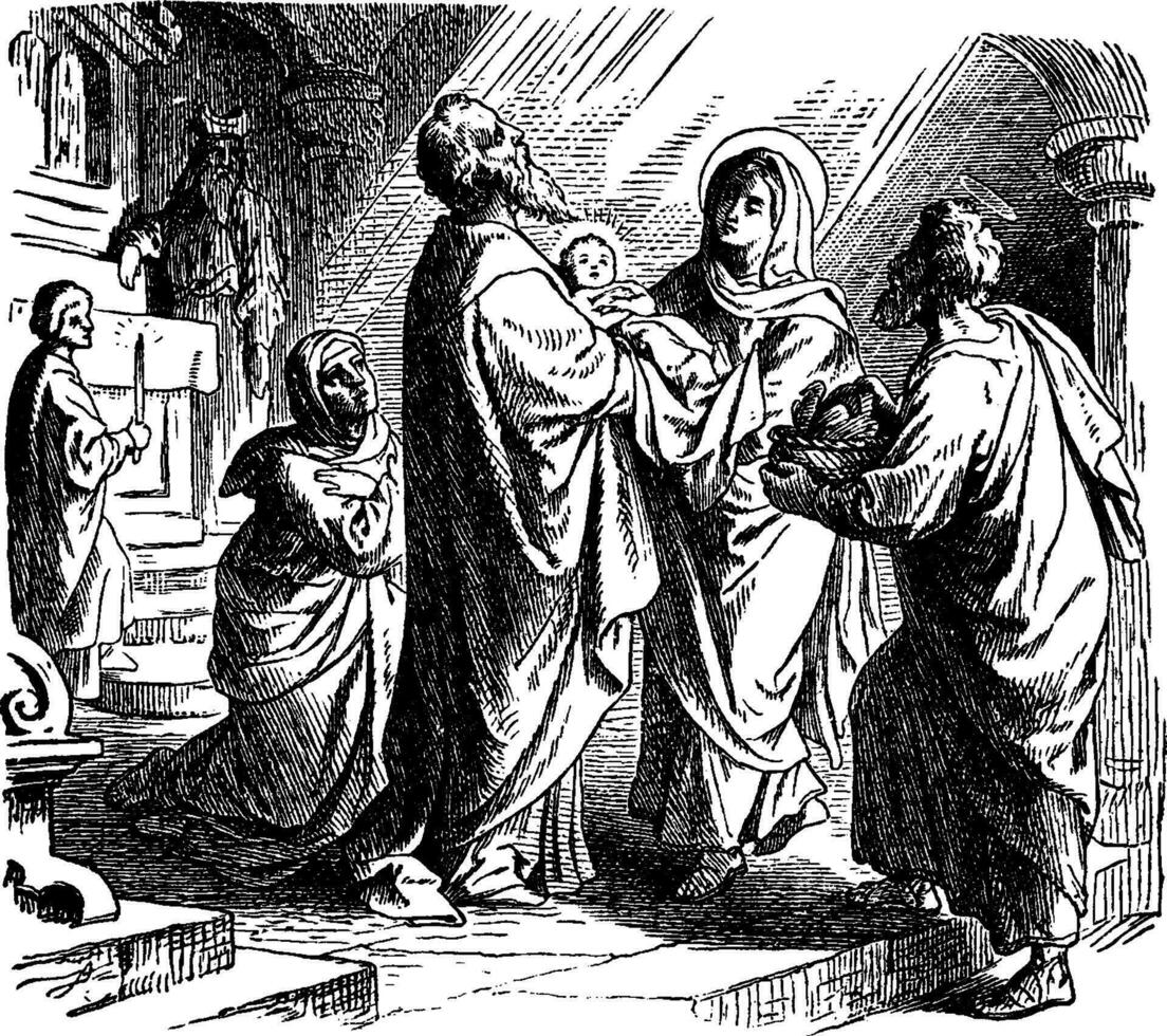 de profetie van simeon Bij de presentatie van Jezus Bij de tempel wijnoogst illustratie. vector