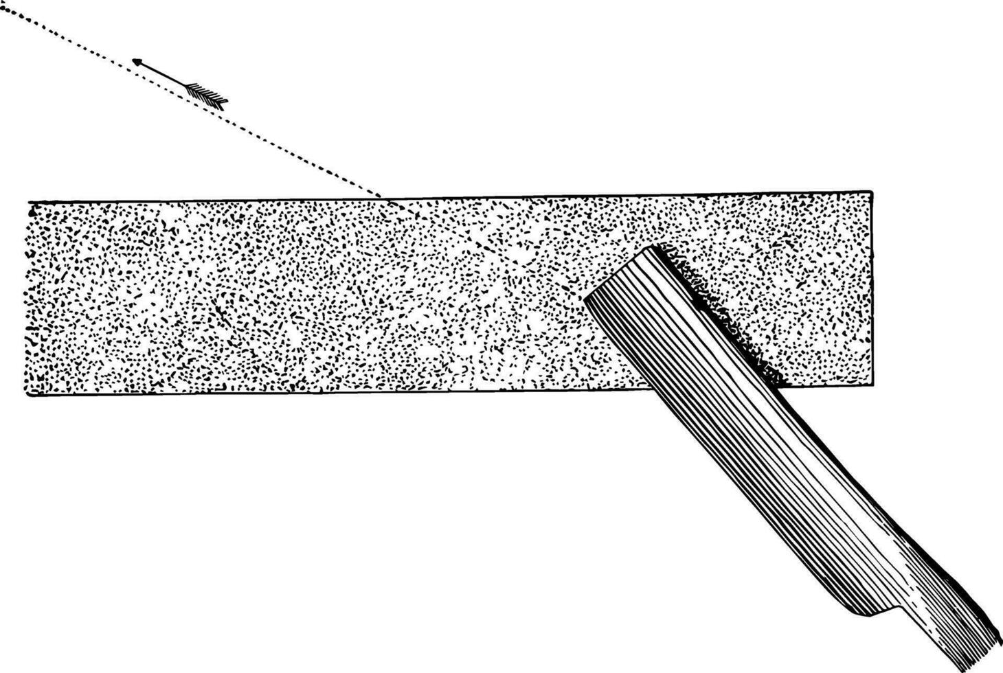 snijdend fabriek secties, wijnoogst illustratie. vector