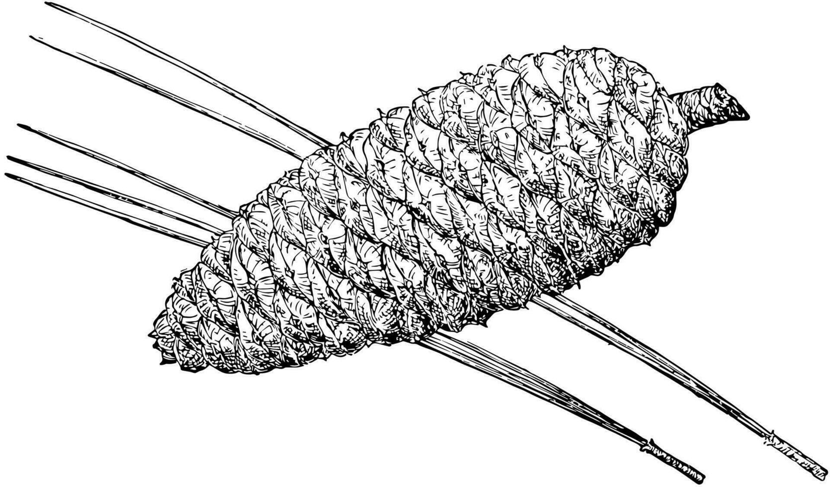 pijnboom ijshoorntje van caraïben pijnboom wijnoogst illustratie. vector