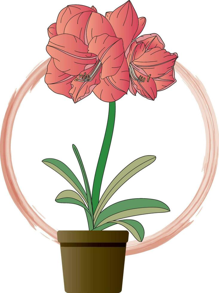 illustratie van amaryllis bloem in pot Aan cirkel achtergrond. vector