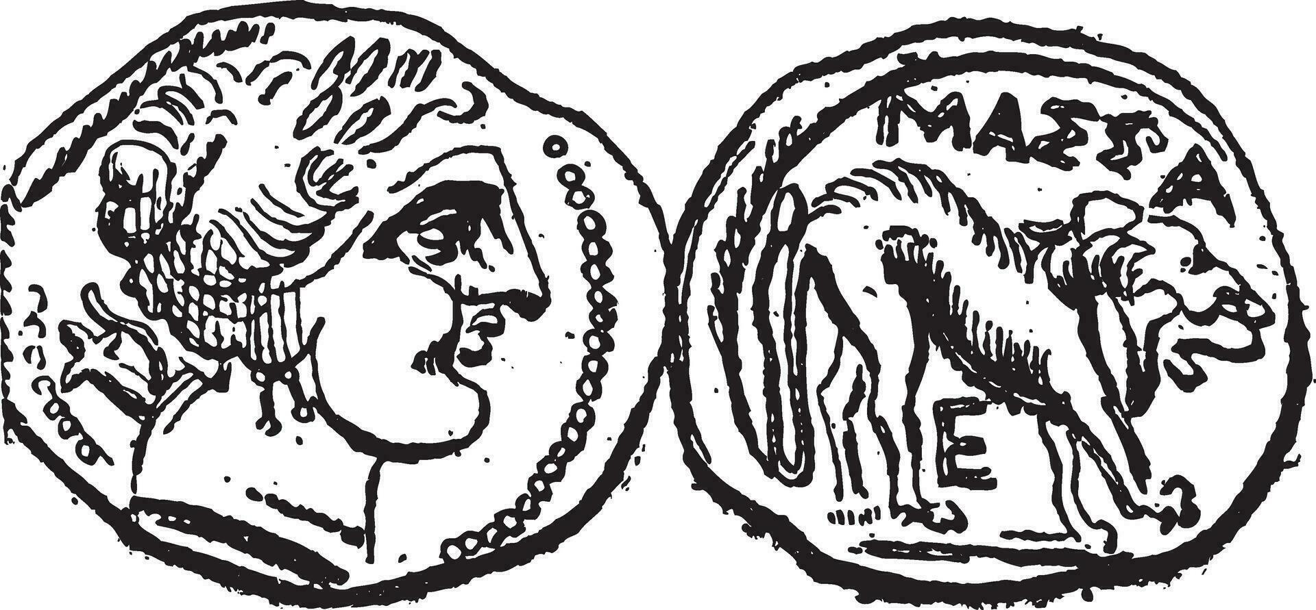 oude keltisch drachme munt, wijnoogst gravure vector