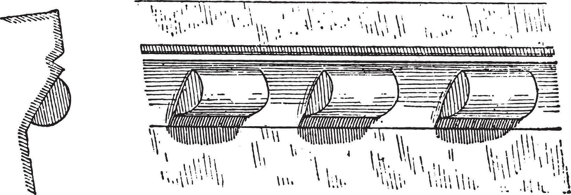 knuppel, wijnoogst gravure. vector