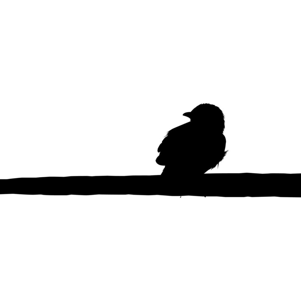 silhouet van de vogel neergestreken Aan de elektrisch draad baseren Aan mijn fotografie. vector illustratie