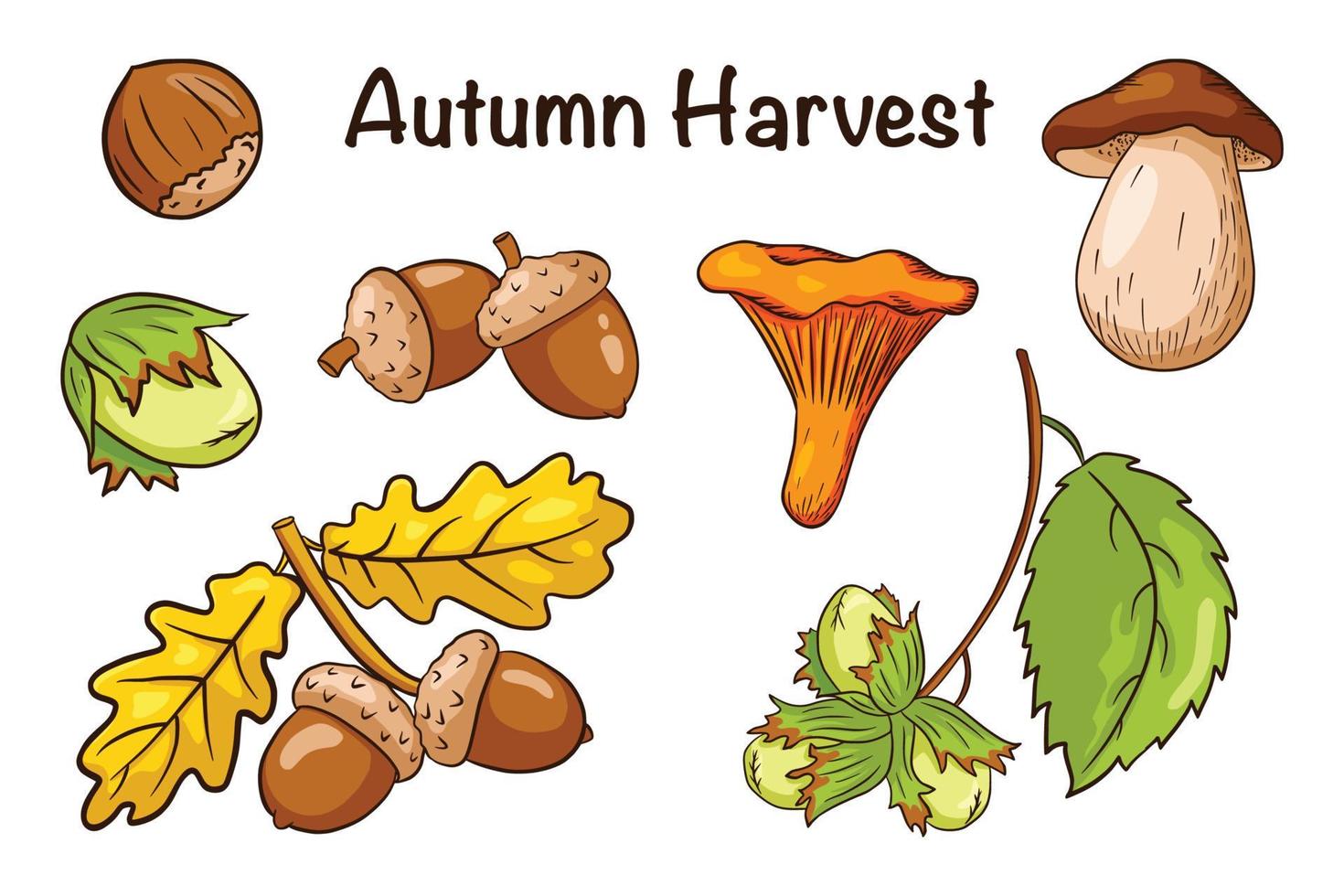 herfst oogst elementen set vector