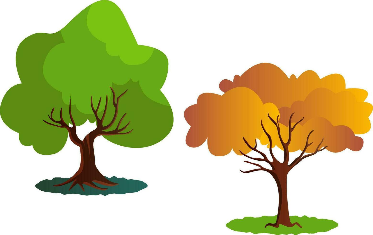 twee herfst boom vector illustratie Aan wit achtergrond