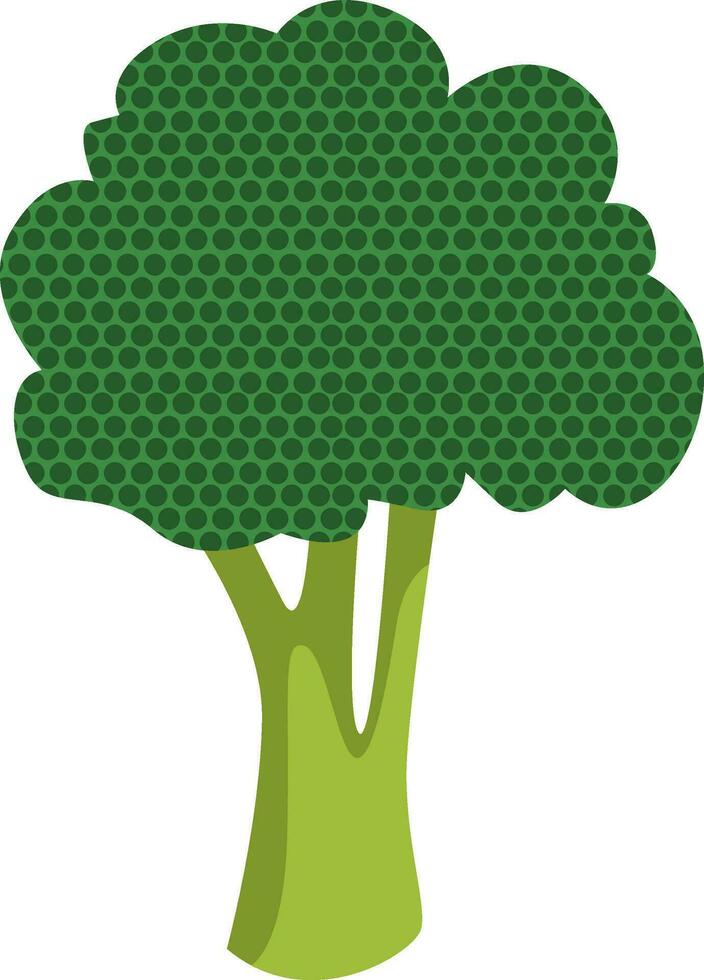 broccoli textuur, illustratie, vector Aan wit achtergrond