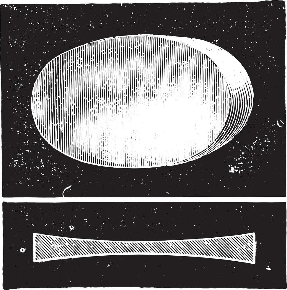 biconcaaf lens, wijnoogst gravure. vector