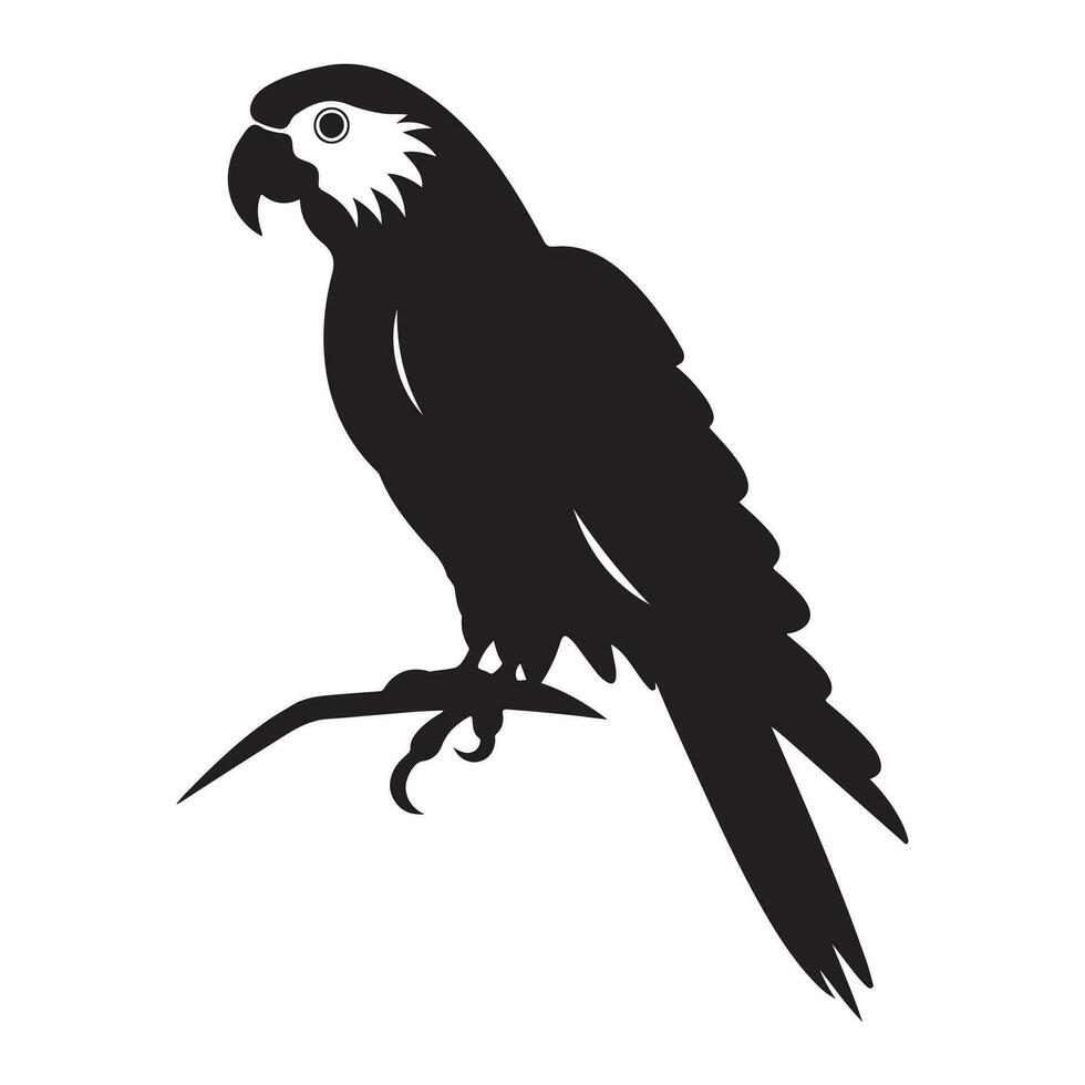 een zwart silhouet papegaai dier vactor vector