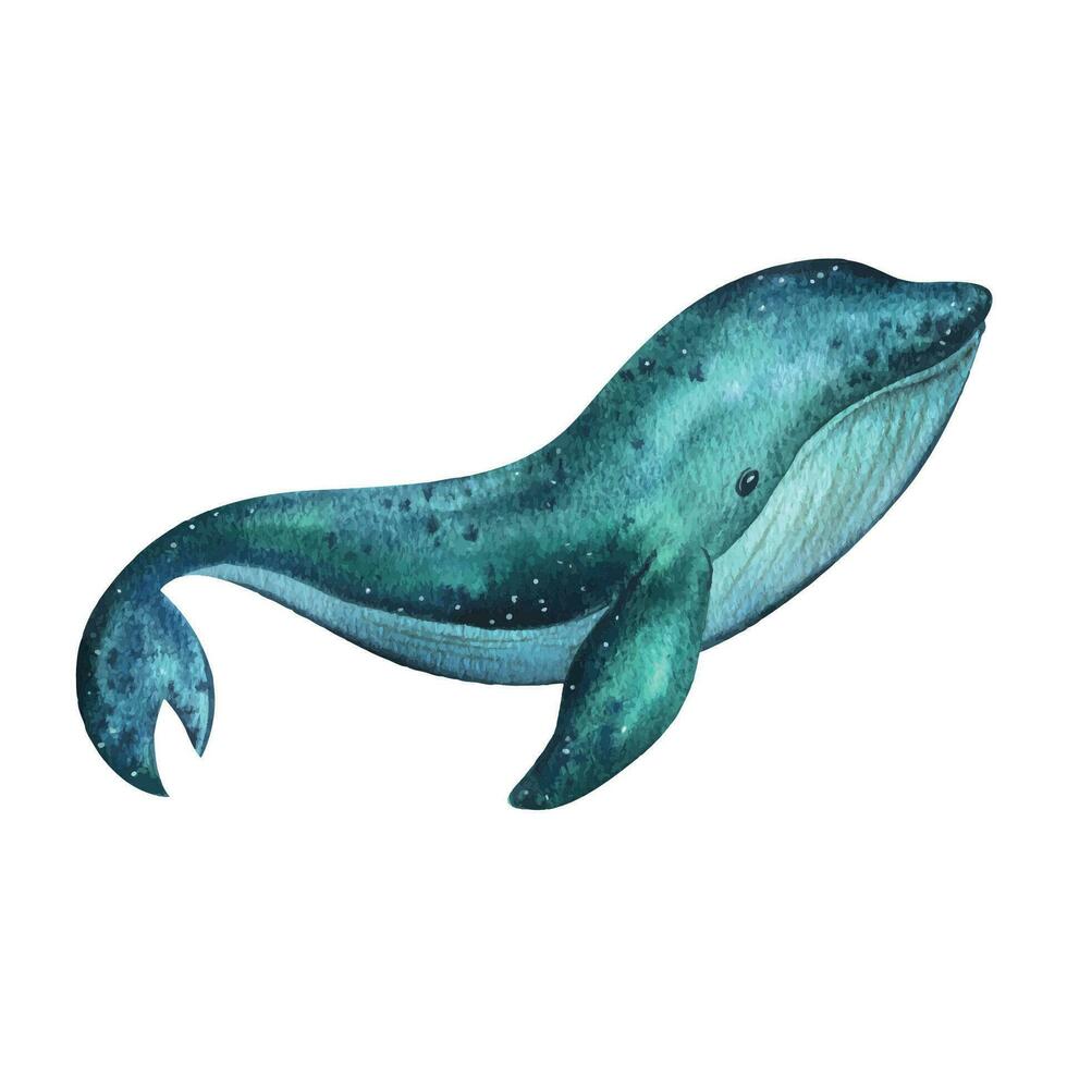 blauw, turkoois walvis met textuur. waterverf illustratie hand- getrokken in kinderachtig gemakkelijk stijl. geïsoleerd voorwerp Aan een wit achtergrond vector eps