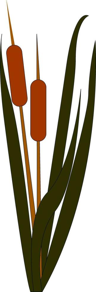 gemakkelijk tekenfilm bamboe vector illustratie Aan wit achtergrond