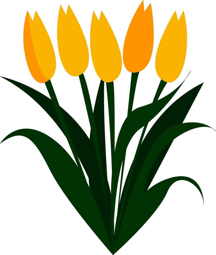 geel tulp bloemen in voorjaar afdrukken vector Aan wit achtergrond