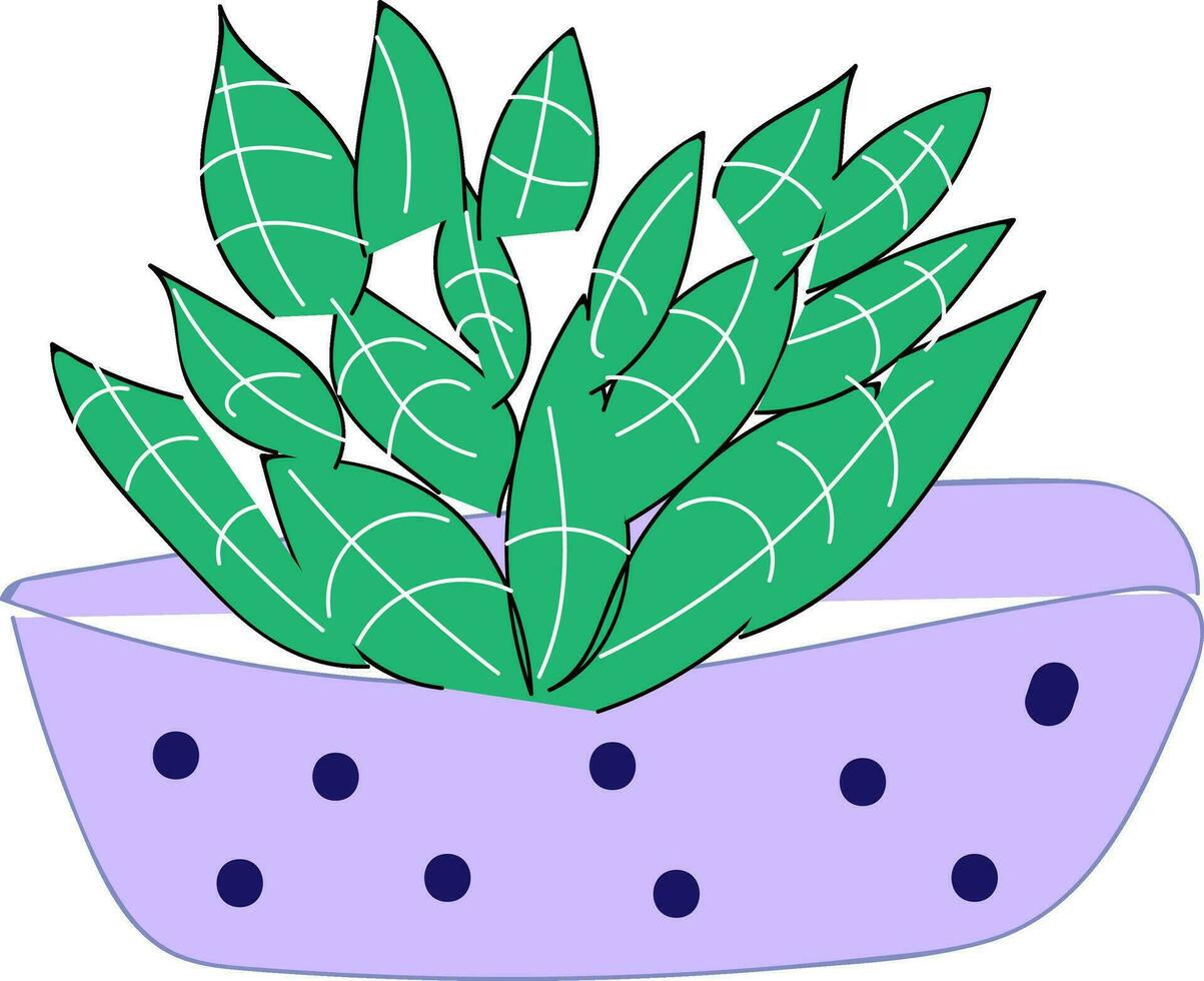 Purper vaas met blauw dots en groen fabriek vector illustratie Aan wit achtergrond