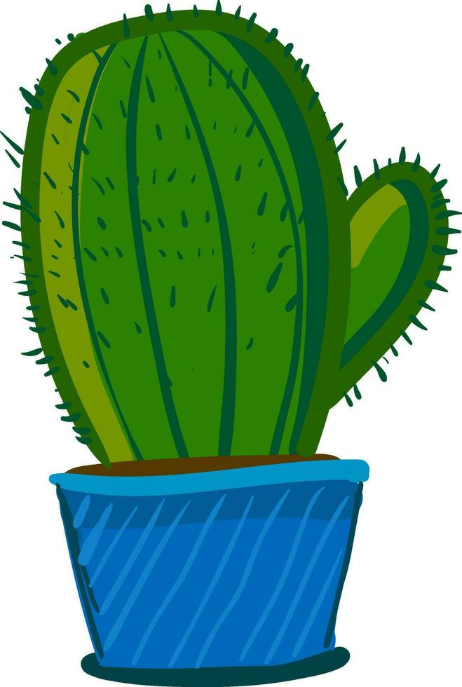 een koepel vormig cactus fabriek in een blauw bloem pot vector kleur tekening of illustratie