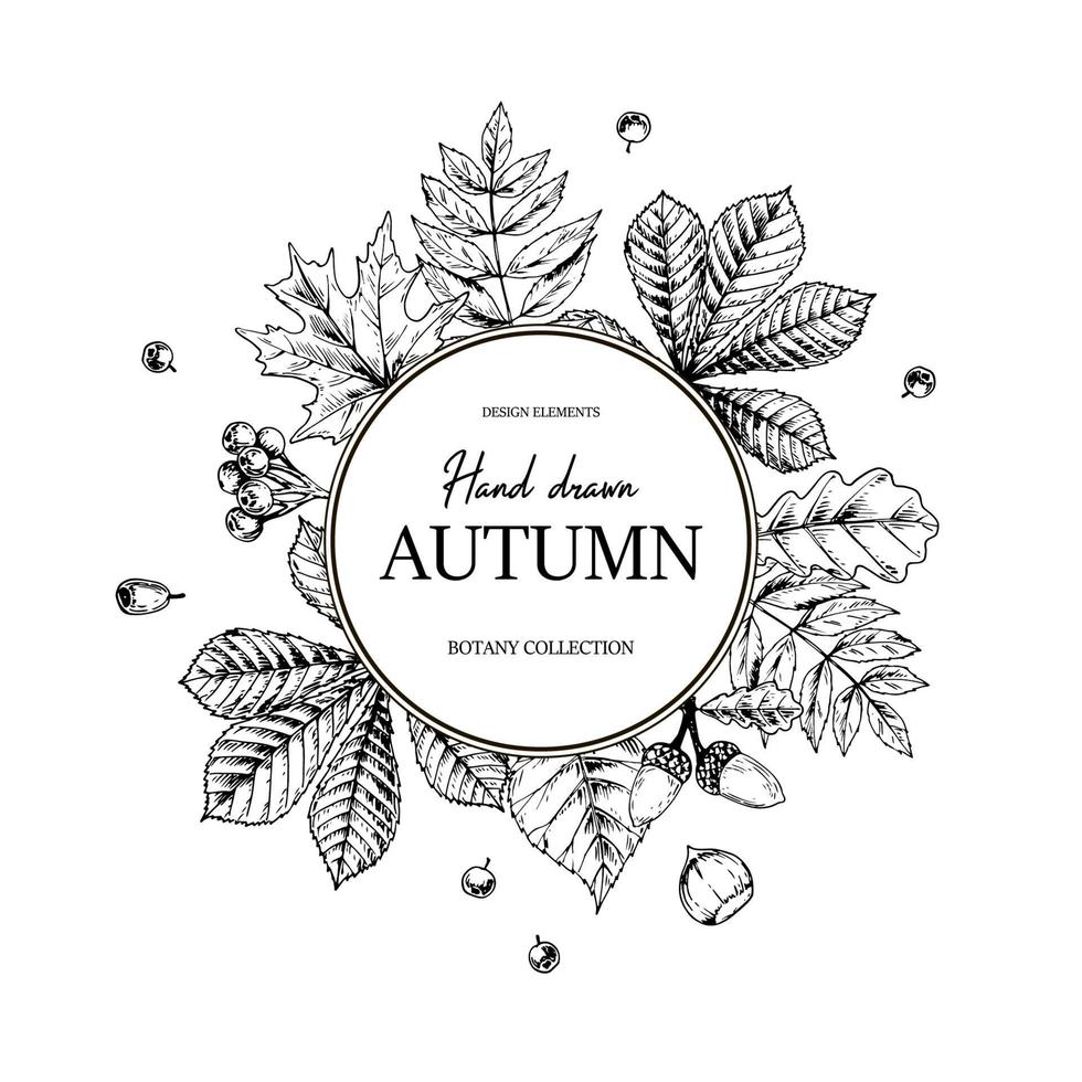hand getekende cirkel herfst botanische frame met vallende bladeren, eikel en bessen. vectorillustratie in schets stijl geïsoleerd op wit. realistische bosontwerpelementen ruimte voor tekst vector