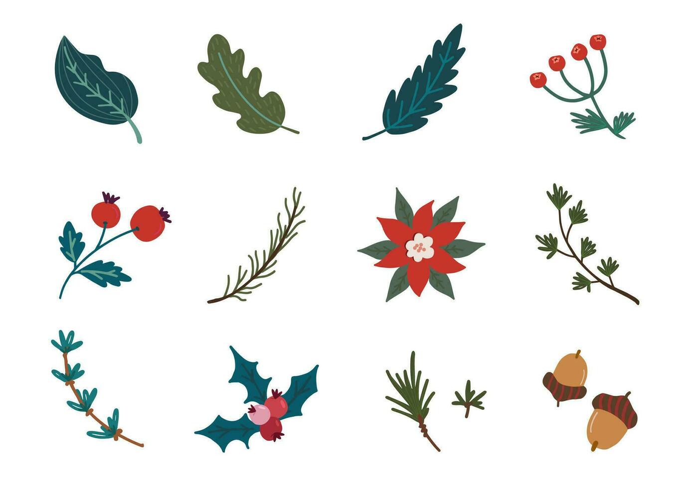 Kerstmis bloemen verzameling. feestelijk helder decoratief bladeren, bloemen en takken. hand- getrokken modern vector geïsoleerd clip art