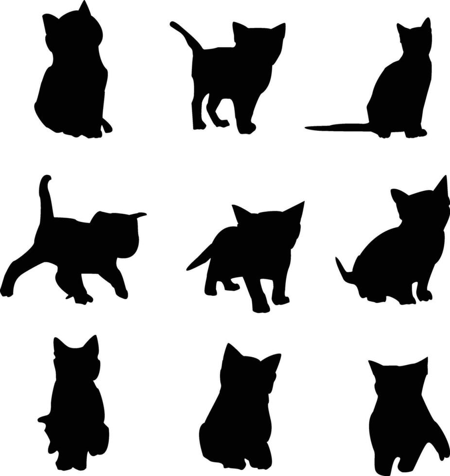 vector kat ontwerpen silhouet